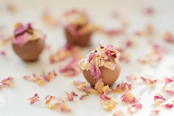 Bet9 Casino Aplicación Android/iOS